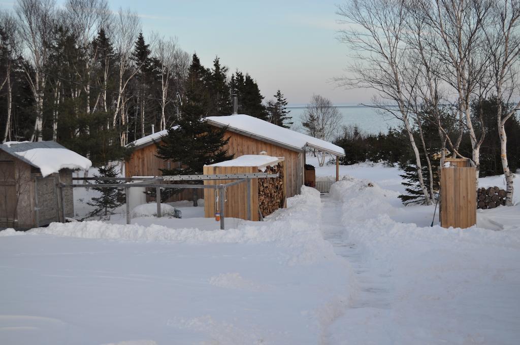 The Sleeping Moose Cottage Birch Plain Ngoại thất bức ảnh