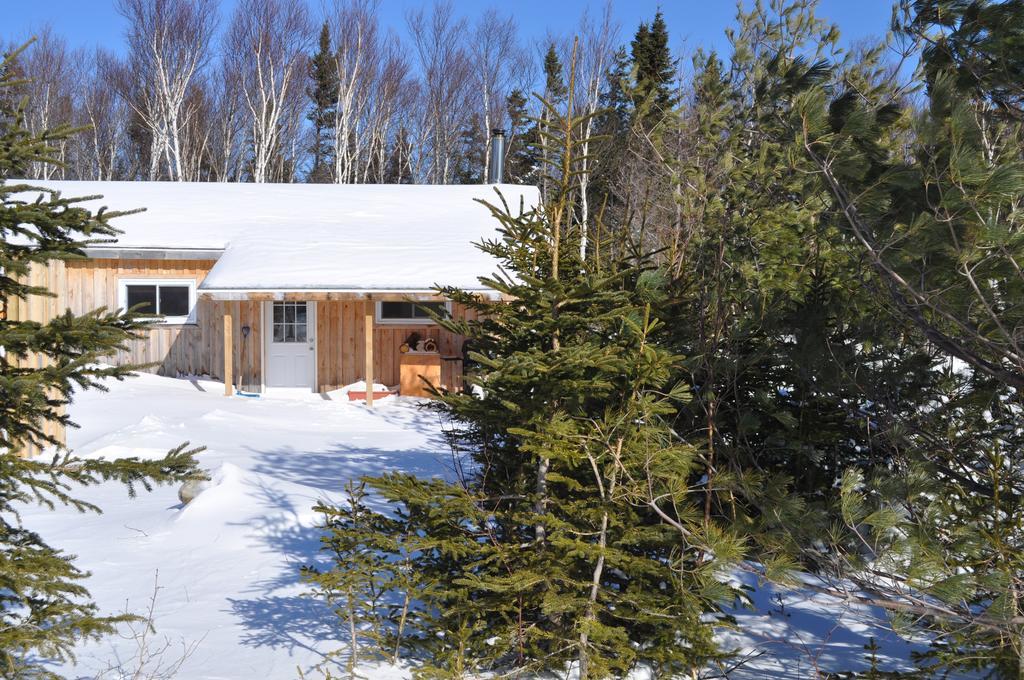 The Sleeping Moose Cottage Birch Plain Ngoại thất bức ảnh