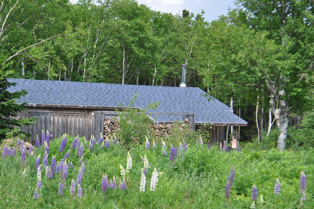 The Sleeping Moose Cottage Birch Plain Ngoại thất bức ảnh
