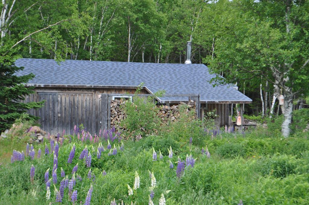 The Sleeping Moose Cottage Birch Plain Ngoại thất bức ảnh
