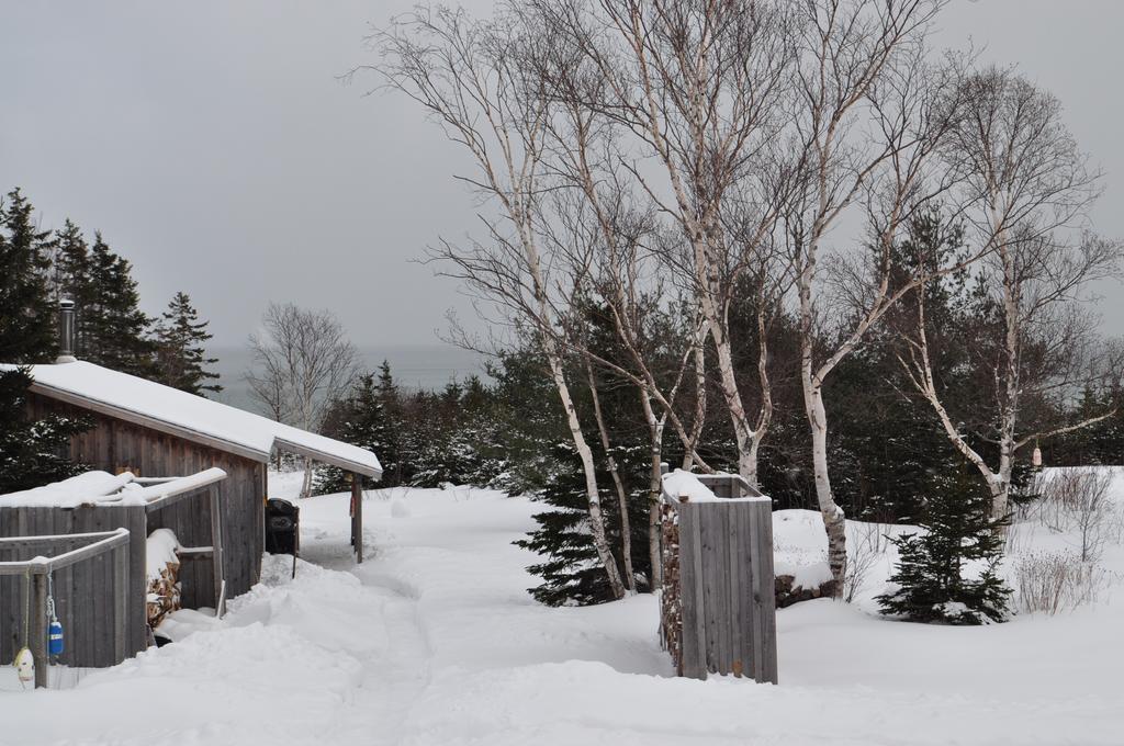 The Sleeping Moose Cottage Birch Plain Ngoại thất bức ảnh