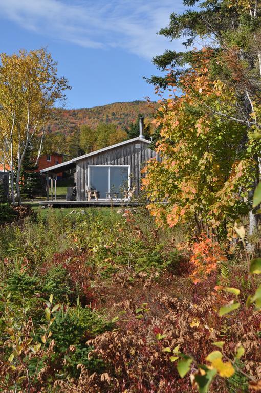 The Sleeping Moose Cottage Birch Plain Ngoại thất bức ảnh
